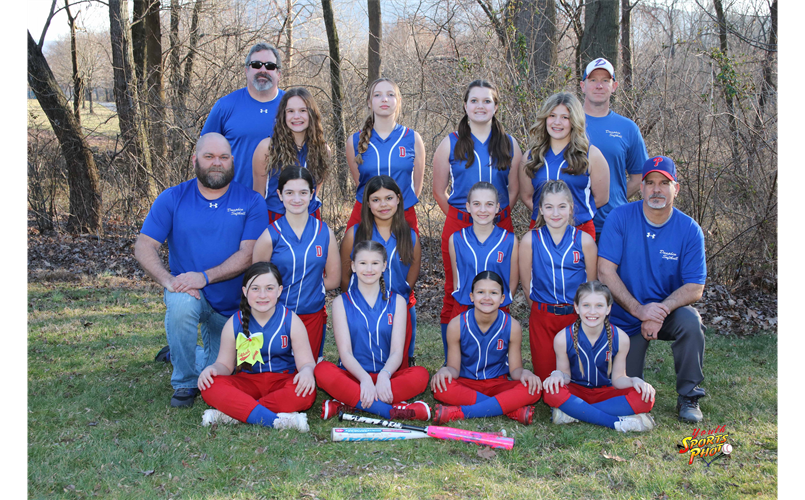 Dauphin Athletic Association Softball Committee > Home