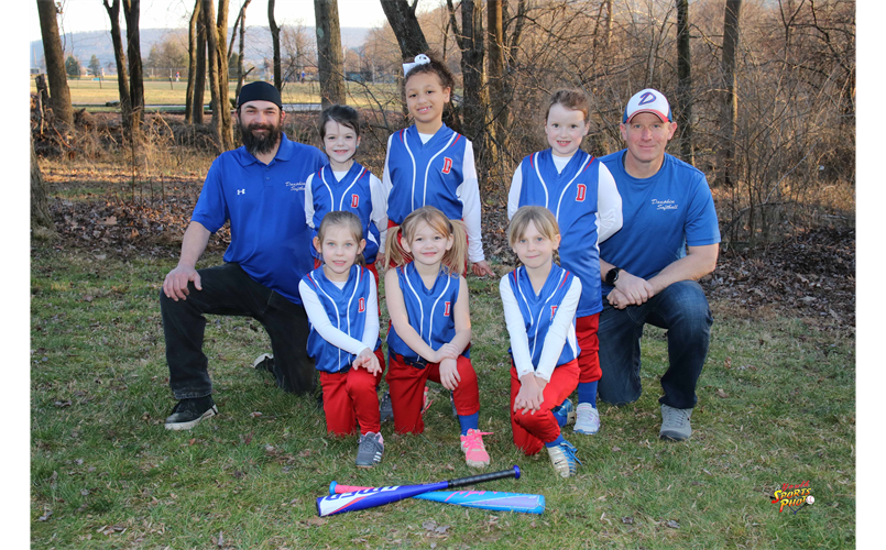 Dauphin Athletic Association Softball Committee > Home