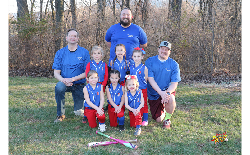 Dauphin Athletic Association Softball Committee > Home